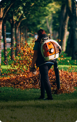 Why Fall Yard Cleanup Helps Protect Your Lawn Before Winter