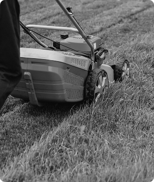 Lawn Mowing