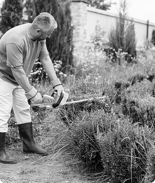 Weeding / Garden Cleanup